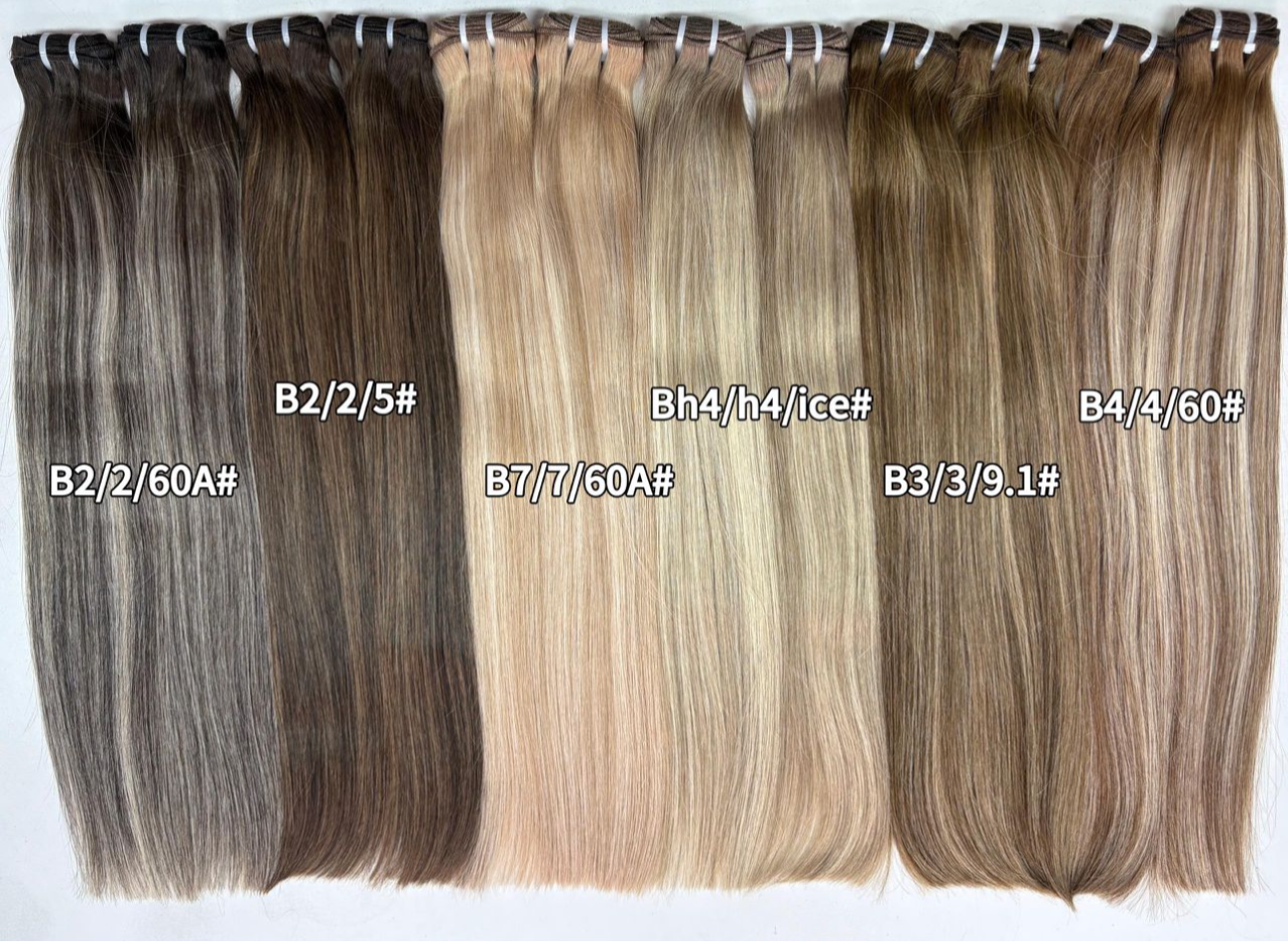 Seize Signature Highlights