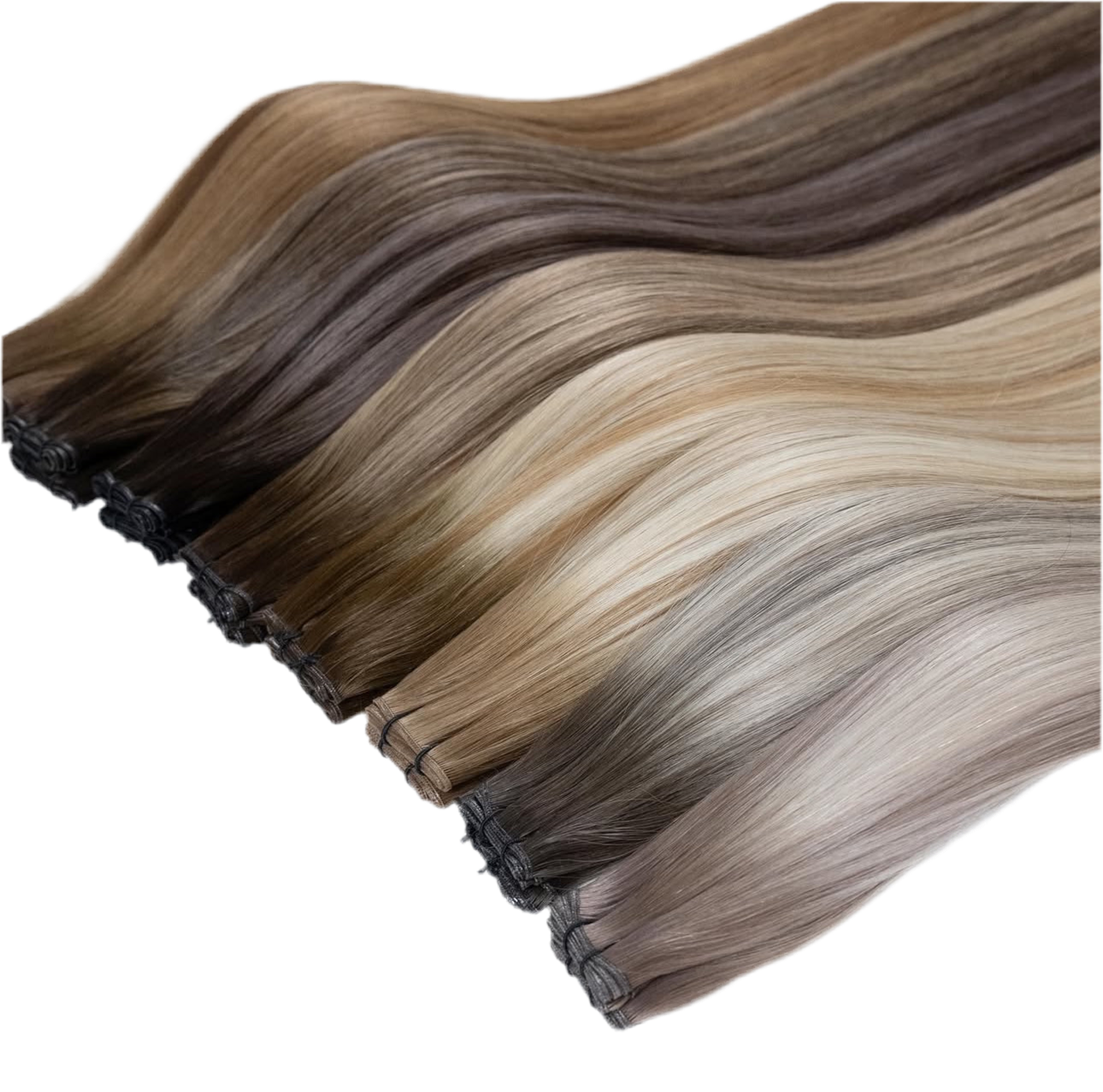 Seize Signature Highlights